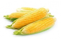 Maïs - Légumes lyophilisés